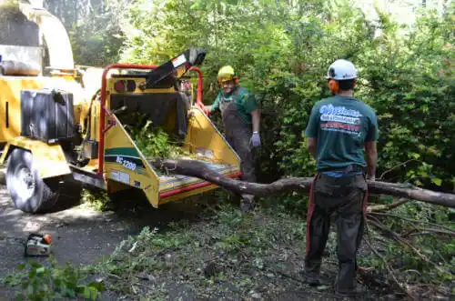 tree services Wilmington